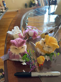 Hand painted trinket box, bird box, figurines, more  - thumbnail 10 of 10