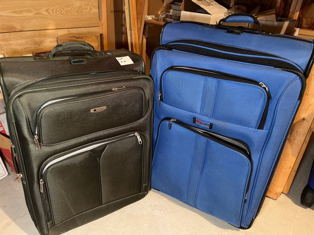 Two Delsey suitcases in black and blue - image 1 of 6
