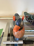 Hand-painted wooden ducks  - thumbnail 20 of 21