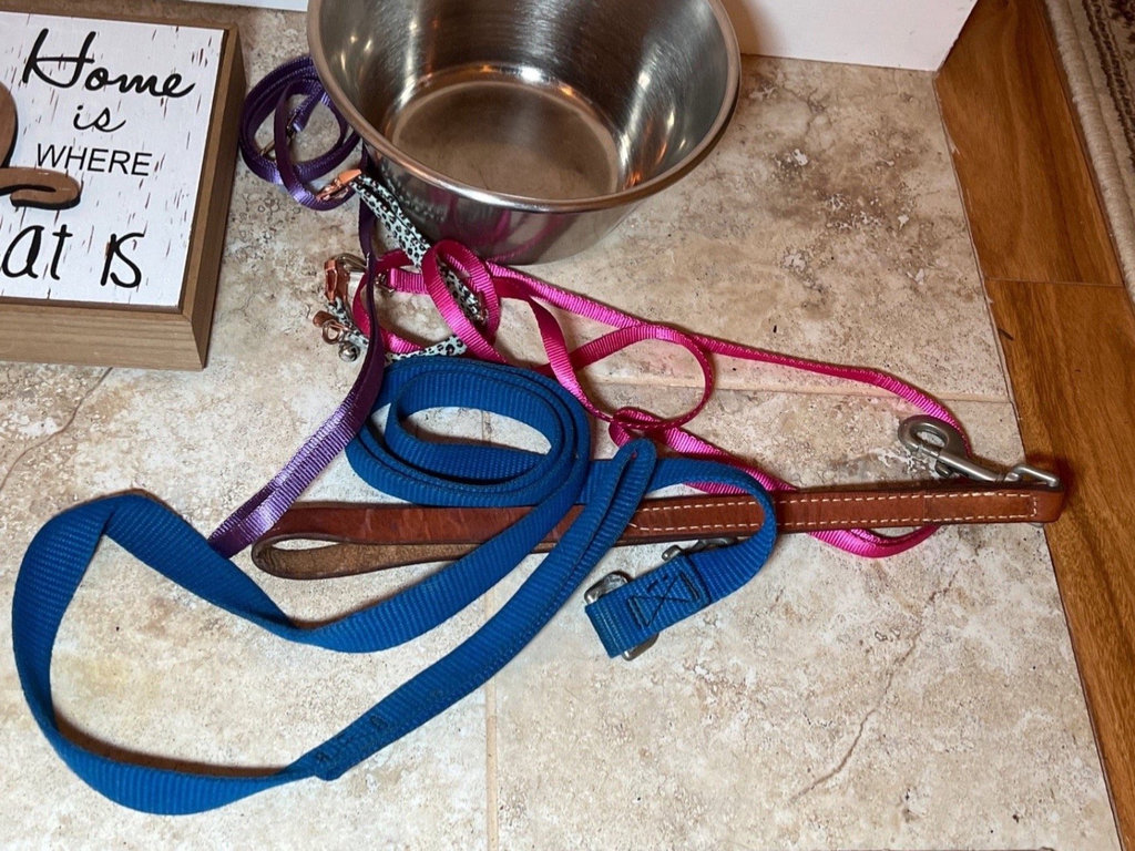 Pet accessories including leashes, collars, bowl, and sign - image 3 of 3