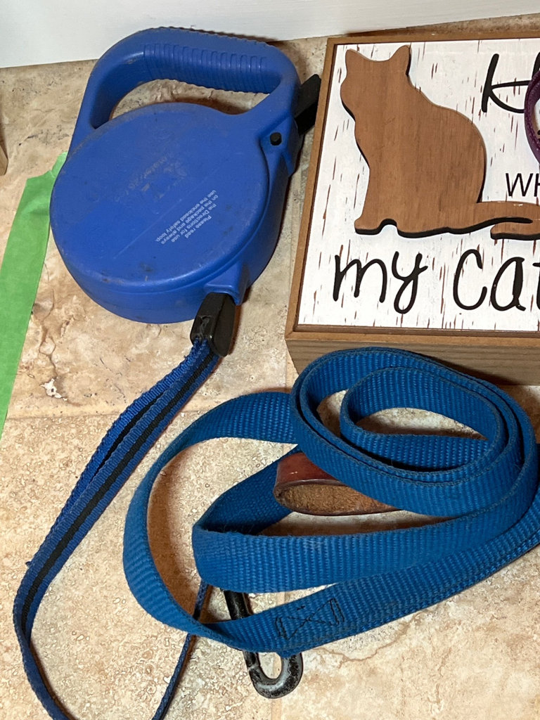 Pet accessories including leashes, collars, bowl, and sign - image 2 of 3