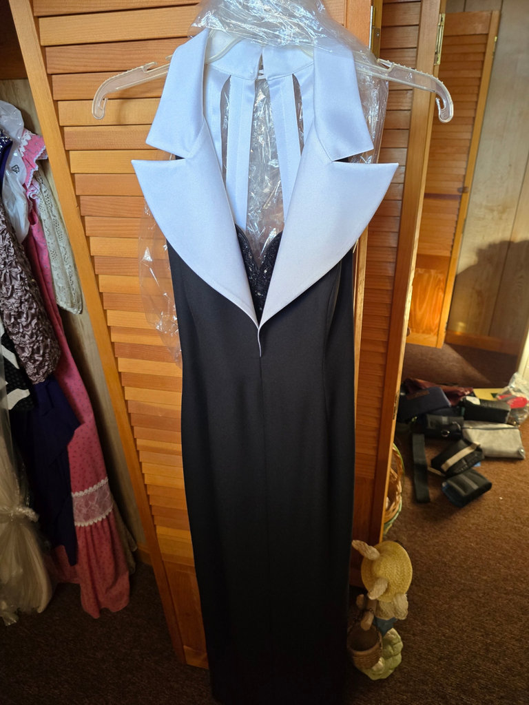 Collection of women's formal dresses and jackets - image 12 of 24