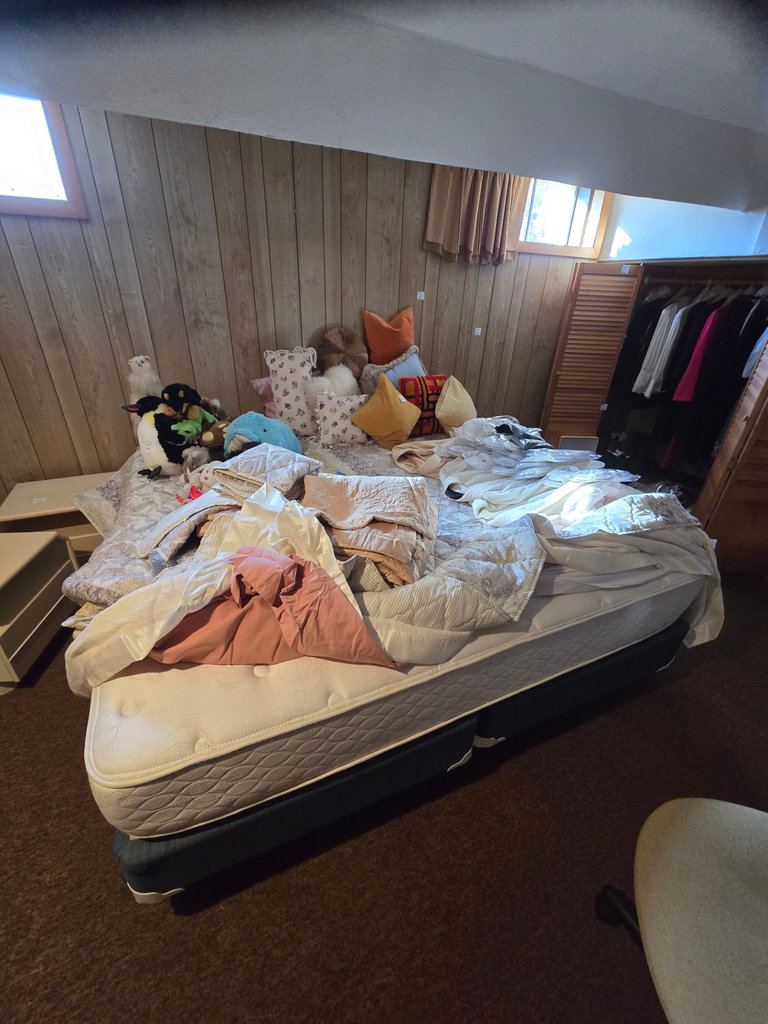 King Bedframe with optional Mattress and split box springs - image 3 of 5