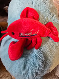 Assorted Plush Toys - thumbnail 5 of 10