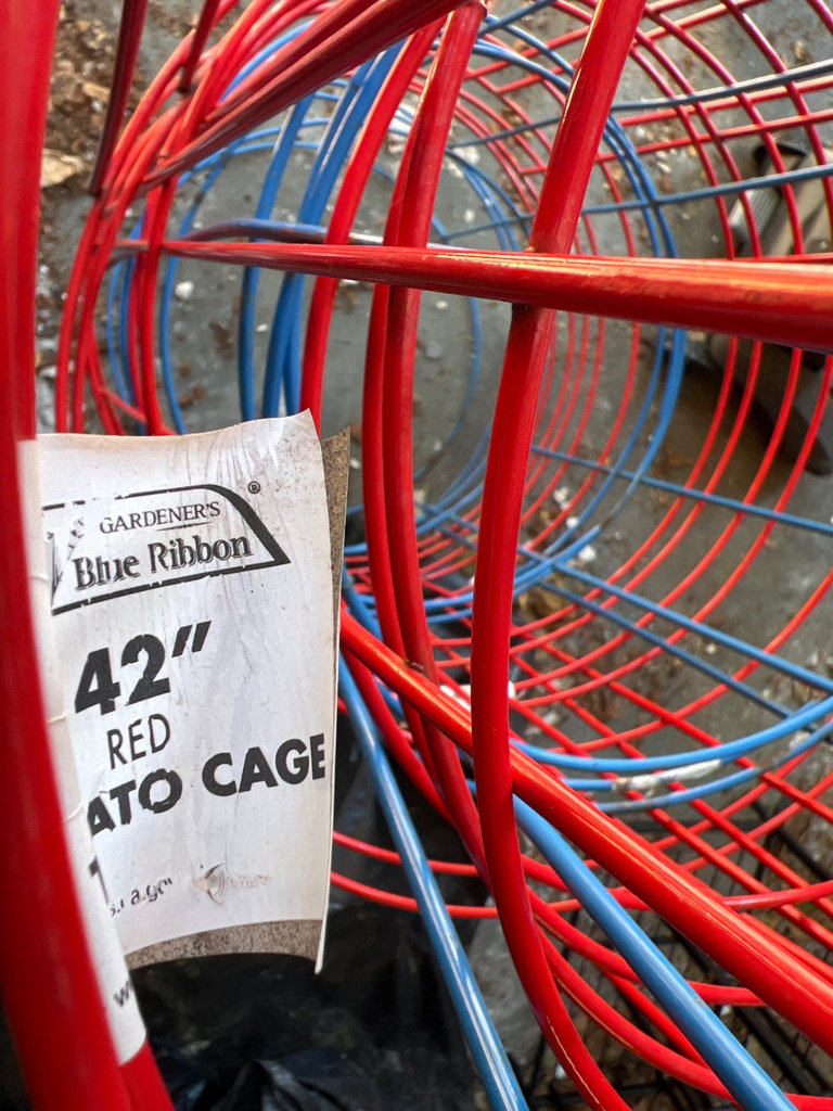 Red and blue metal tomato cages - image 3 of 3