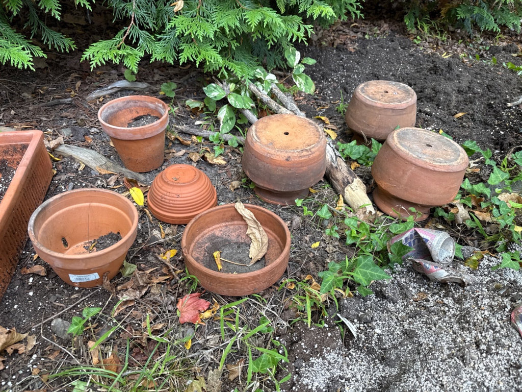 Terracotta pots and a blue ceramic planter - image 5 of 6