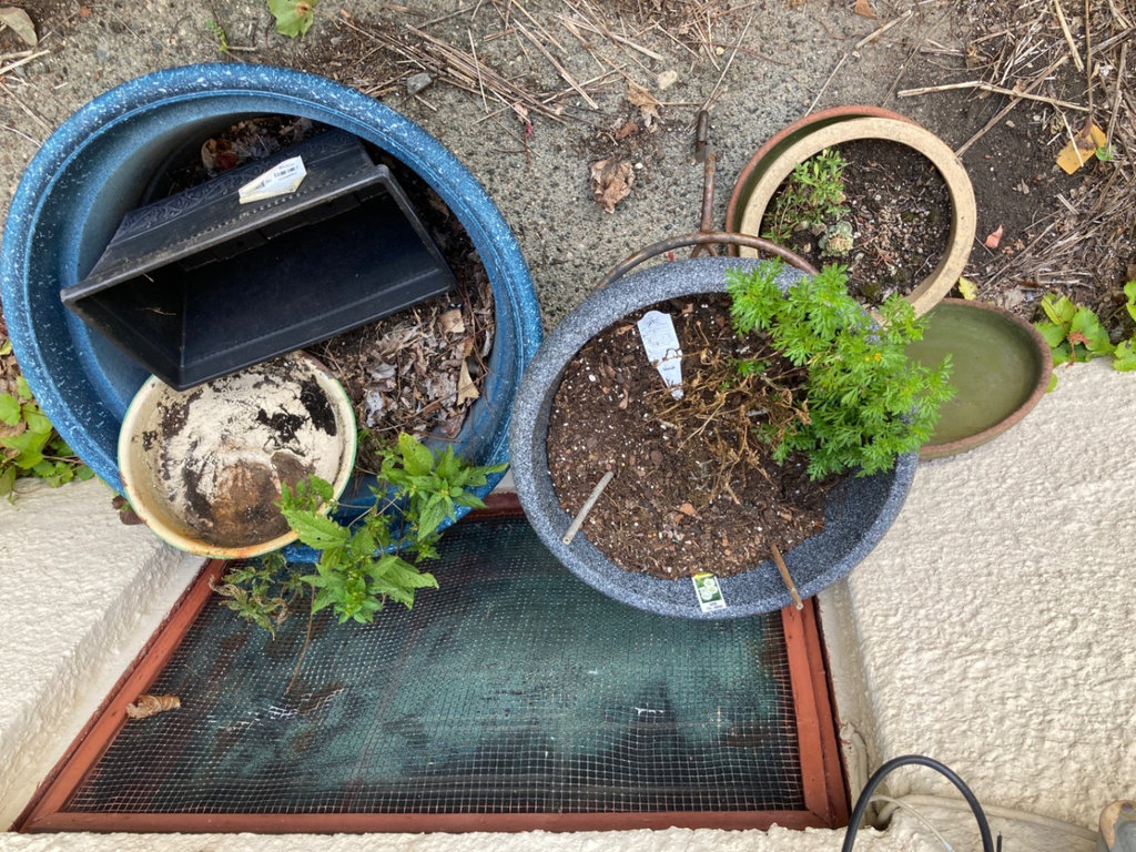 Ceramic and plastic gardening pots - image 2 of 2