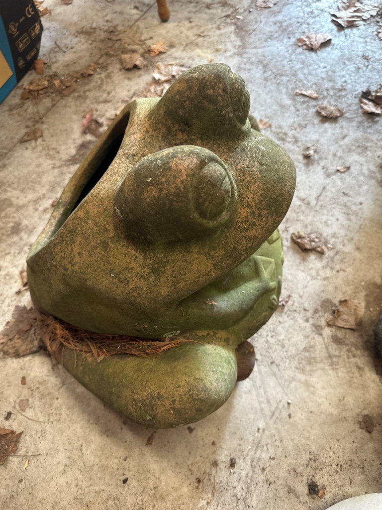 Frog-shaped garden statue with hollow body - image 5 of 5
