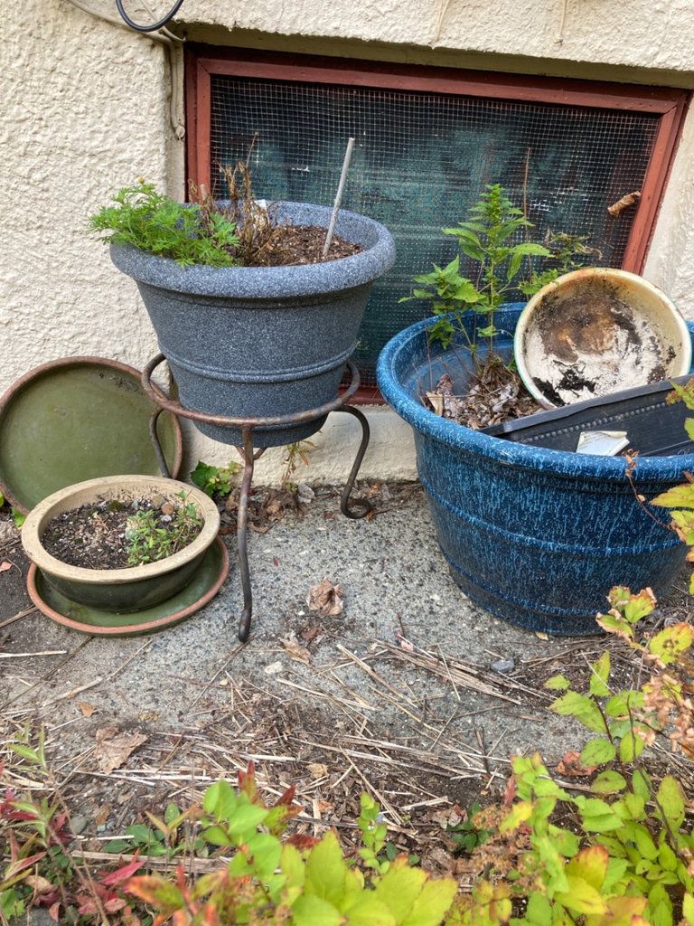 Ceramic and plastic gardening pots - image 1 of 2
