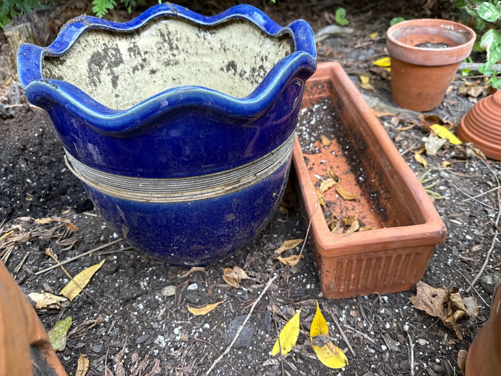 Terracotta pots and a blue ceramic planter - image 2 of 6