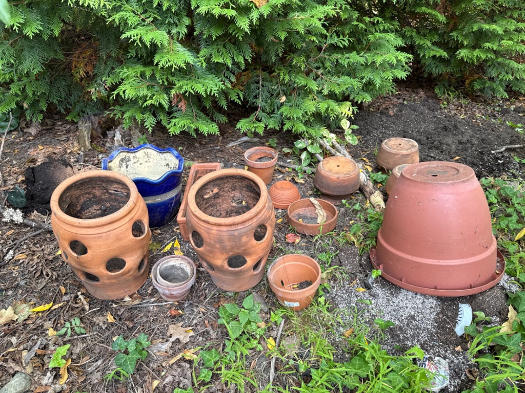 Terracotta pots and a blue ceramic planter - image 3 of 6