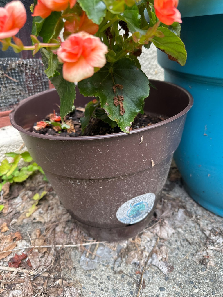 Planters and Pots  - image 3 of 3