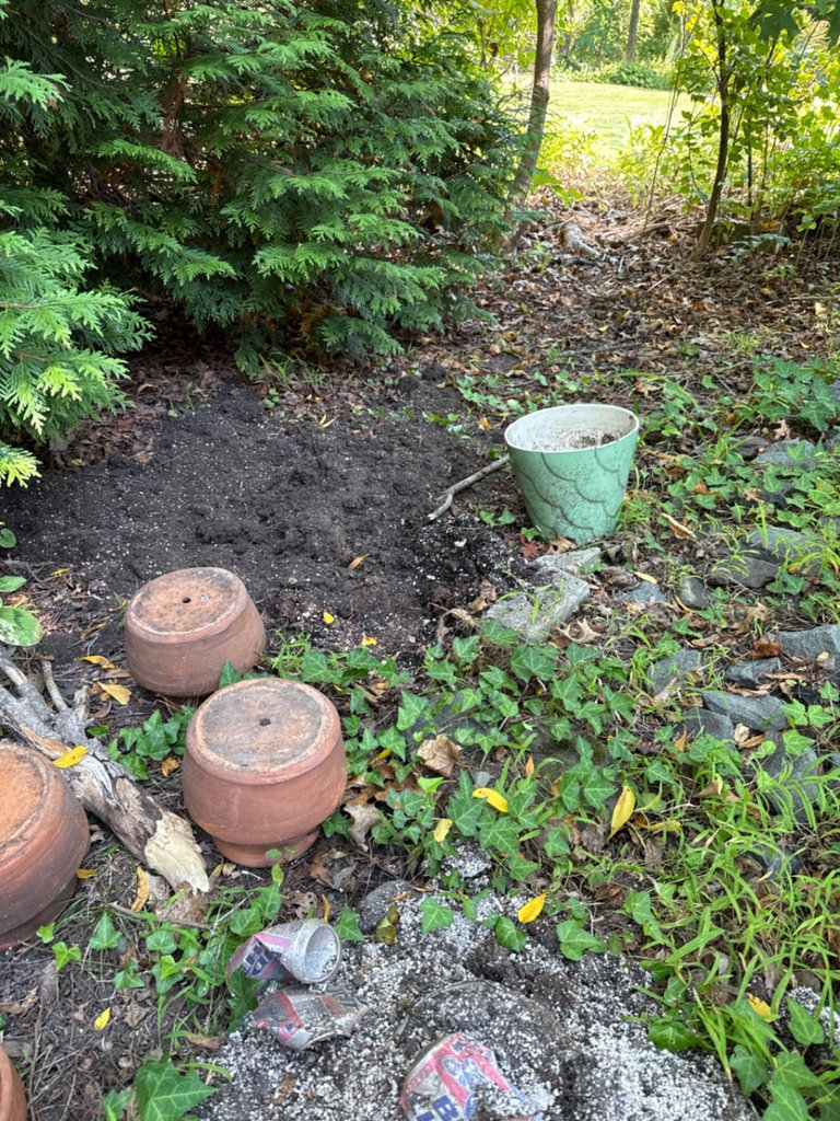 Terracotta pots and a blue ceramic planter - image 6 of 6