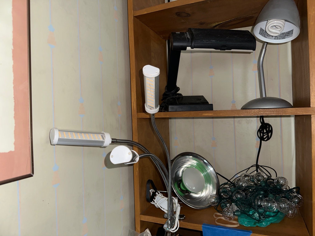 Desk lamps, LED tube lights, and decorative string lights - image 1 of 5