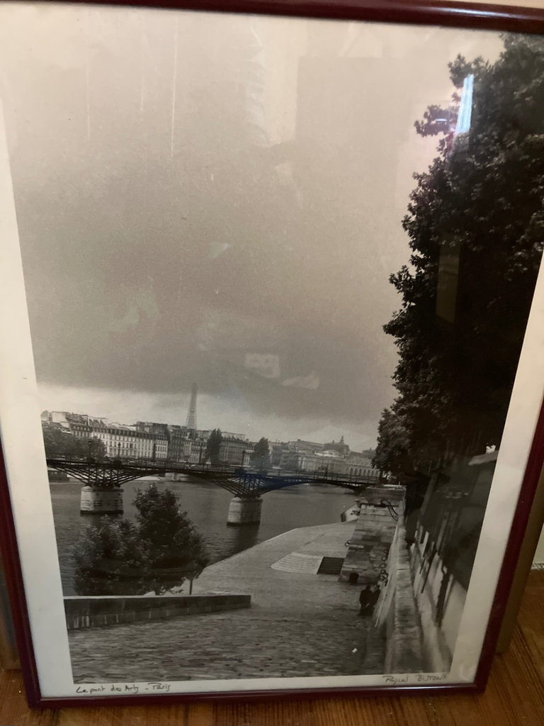 Framed Art Prints and Photographs: Paris Scenes, Landscapes, and Wildlife - image 9 of 12