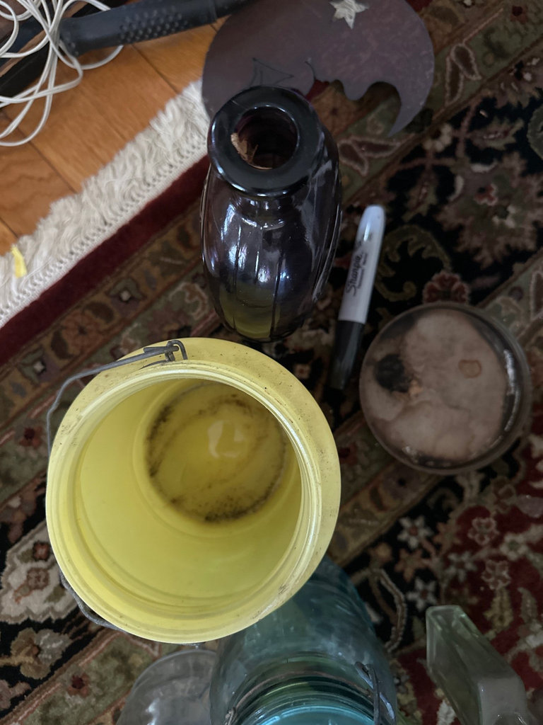 Vintage glass jars, bottles, and canning hardware - image 3 of 10
