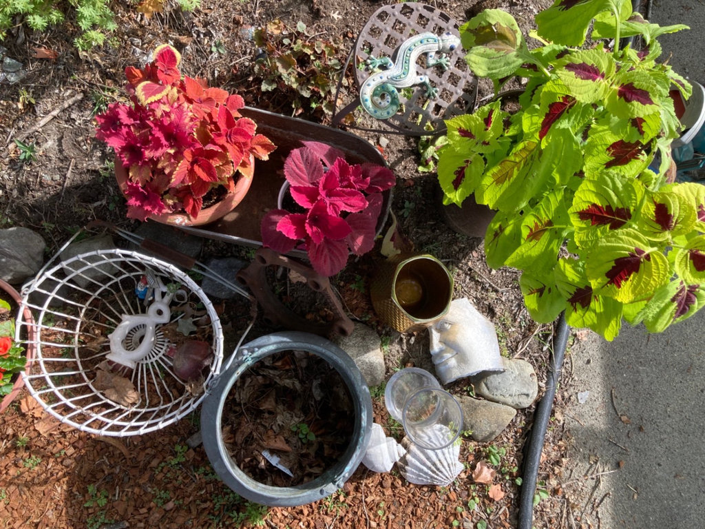 Potted flowering plants and decor - image 2 of 3