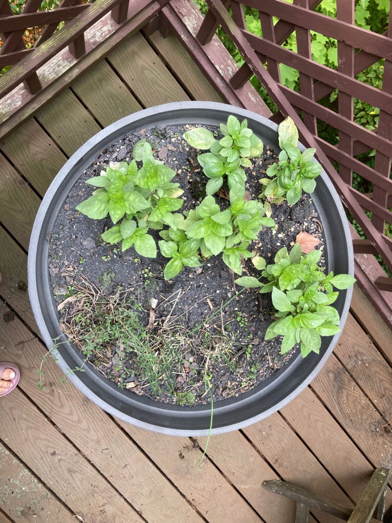 Large plastic planter and metal table - image 2 of 3