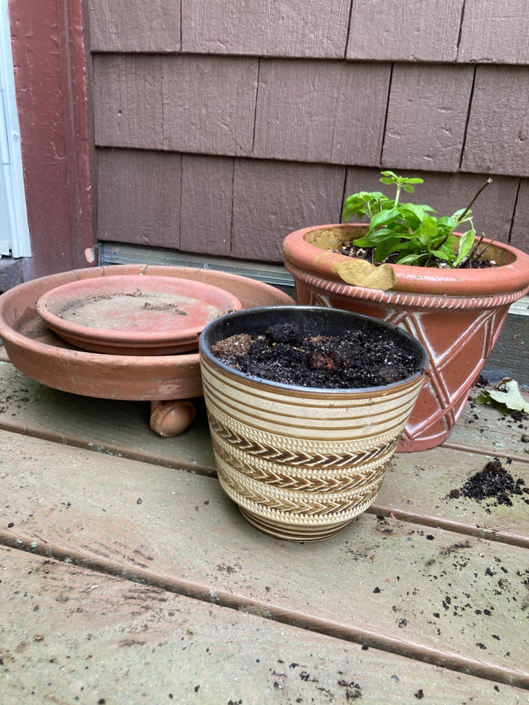 Ceramic pots and planters - image 1 of 3