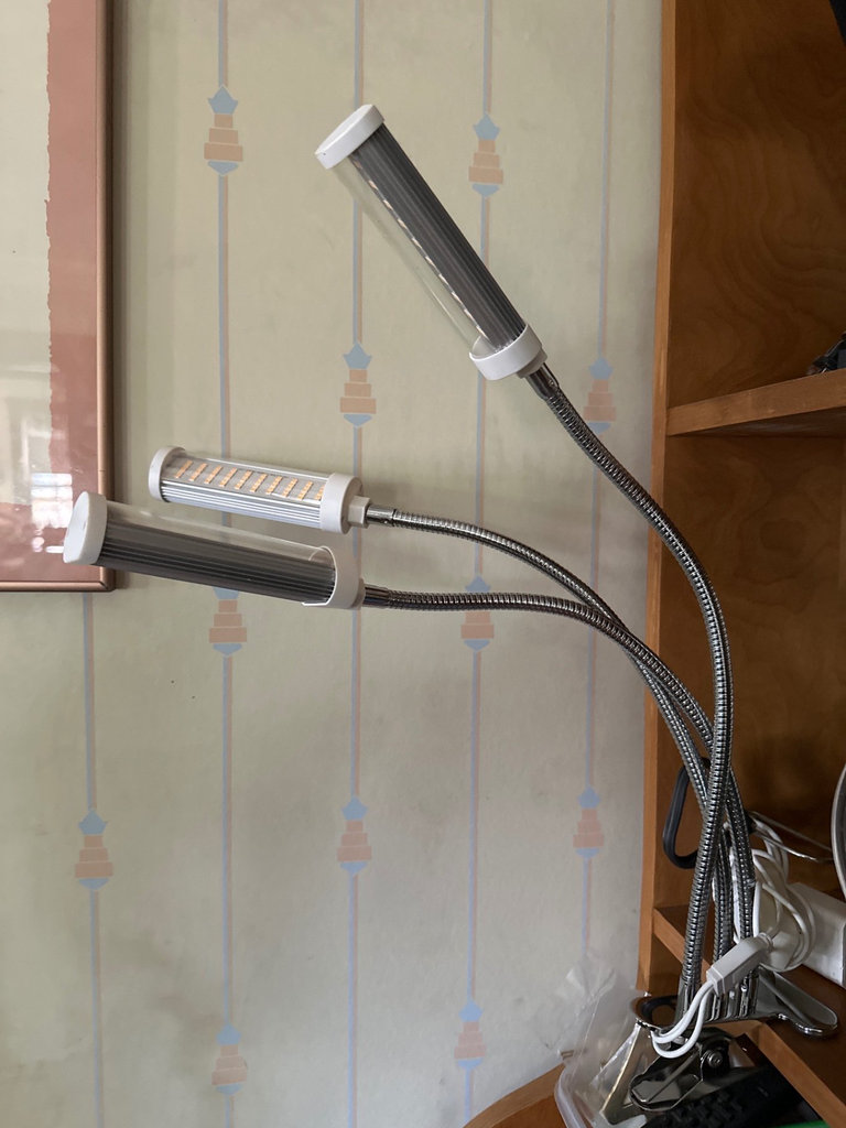 Desk lamps, LED tube lights, and decorative string lights - image 4 of 5