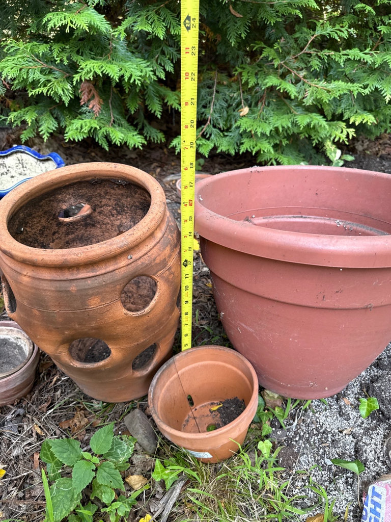 Terracotta pots and a blue ceramic planter - image 4 of 6