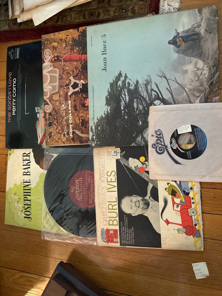 Vinyl record collection with accessories - image 2 of 5