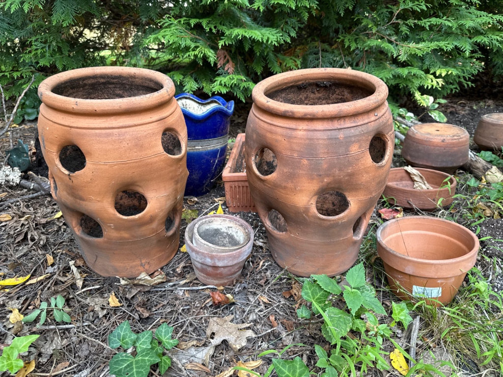Terracotta pots and a blue ceramic planter - image 1 of 6