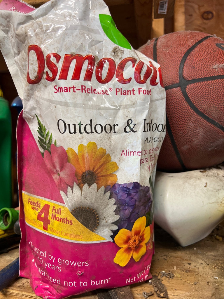 Assorted yard and garden items: planters, plant food, and a basketball - image 9 of 10