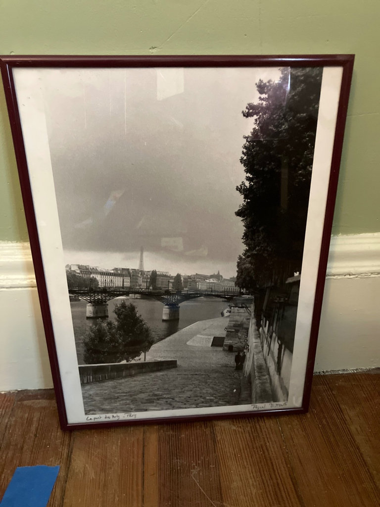Framed Art Prints and Photographs: Paris Scenes, Landscapes, and Wildlife - image 7 of 12