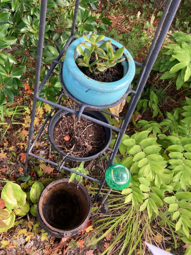 metal plant stand with pots - image 2 of 2
