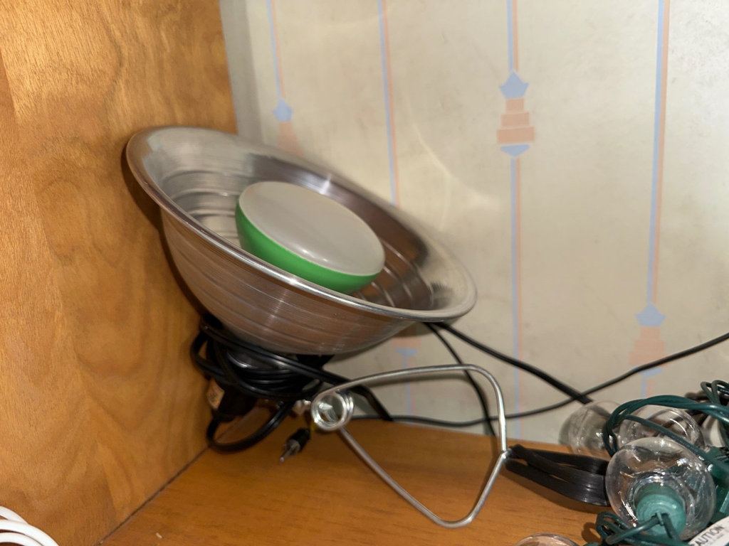 Desk lamps, LED tube lights, and decorative string lights - image 2 of 5