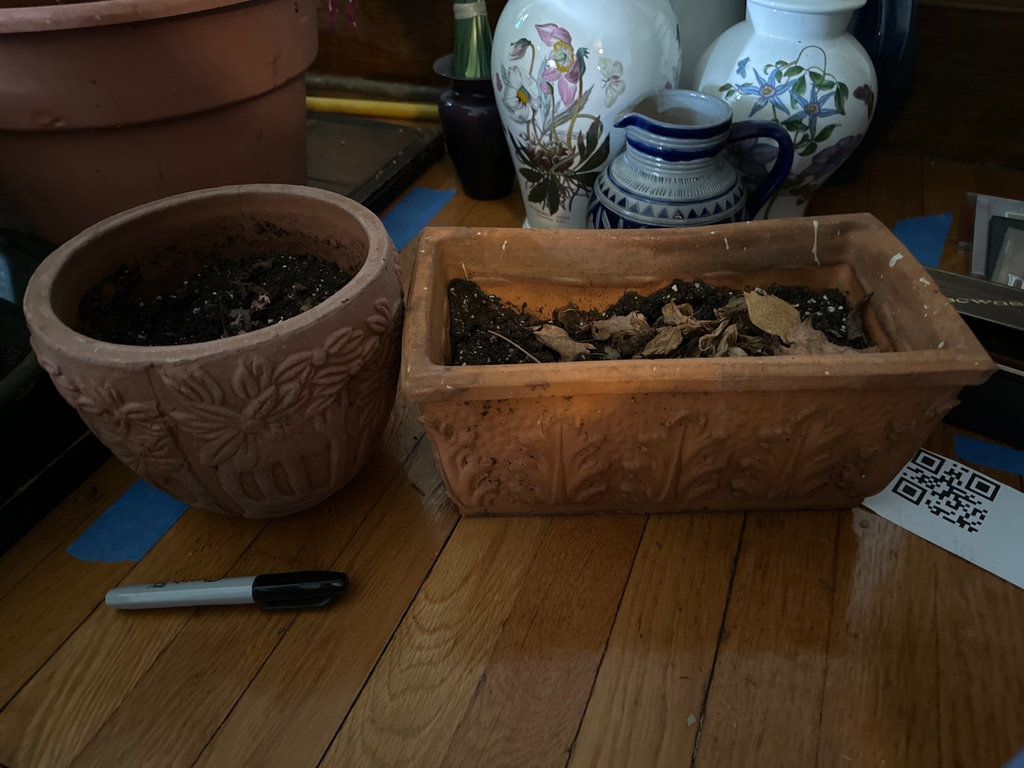 Assorted terracotta pots and gardening containers - image 3 of 6