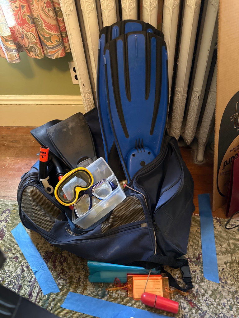 Diving Fins and Snorkeling Gear - image 1 of 4