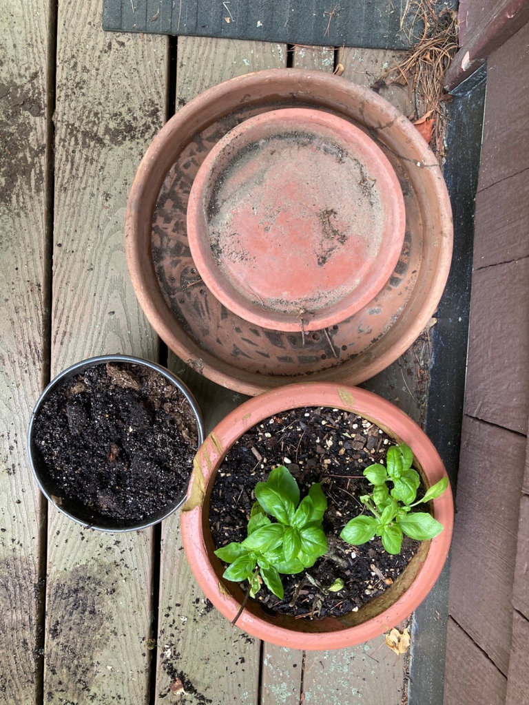 Ceramic pots and planters - image 2 of 3