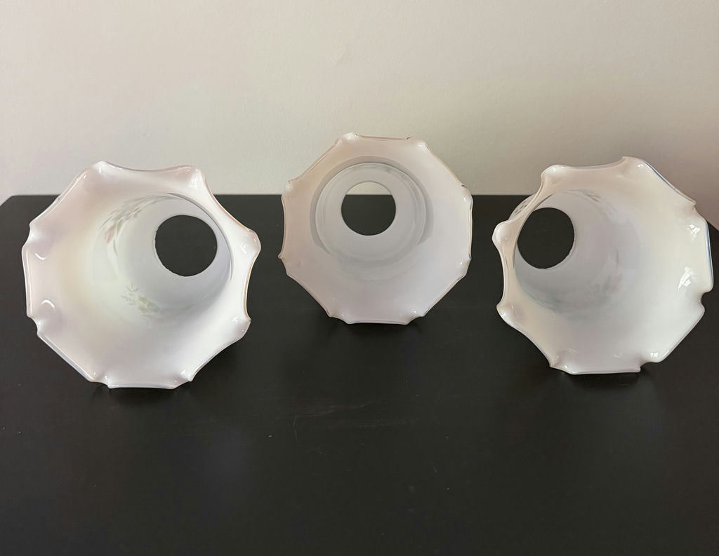 Three Vintage Glass Hand Painted Light Shades - image 3 of 5