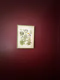 Reproduction framed print of French Vegetables - thumbnail 1 of 2