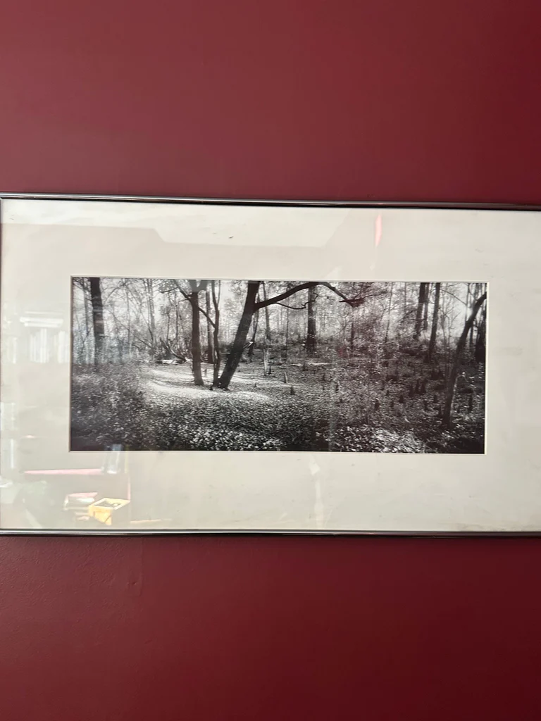Framed panoramic black and white landscape print - image 2 of 2