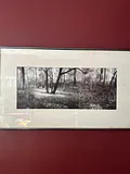 Framed panoramic black and white landscape print - thumbnail 2 of 2