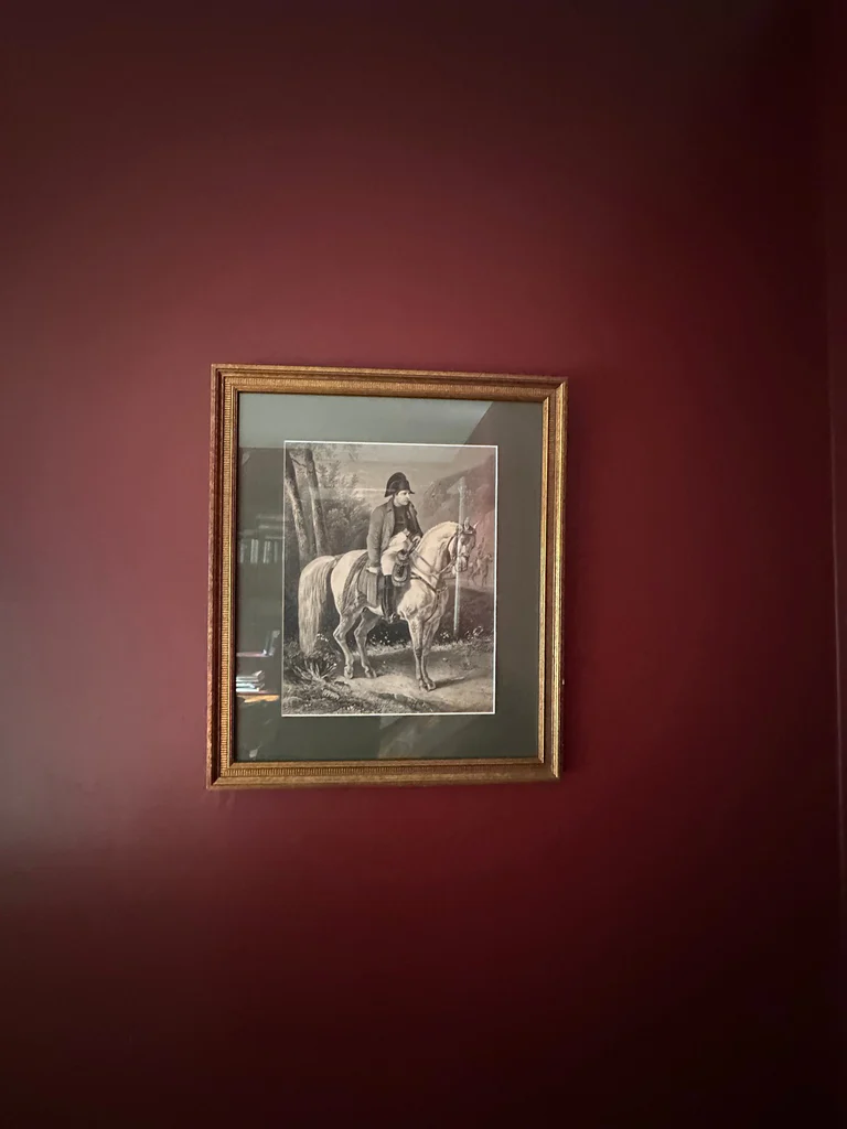 Framed image of Napolean, Campaign of France by Albert Henry Payne - image 1 of 2