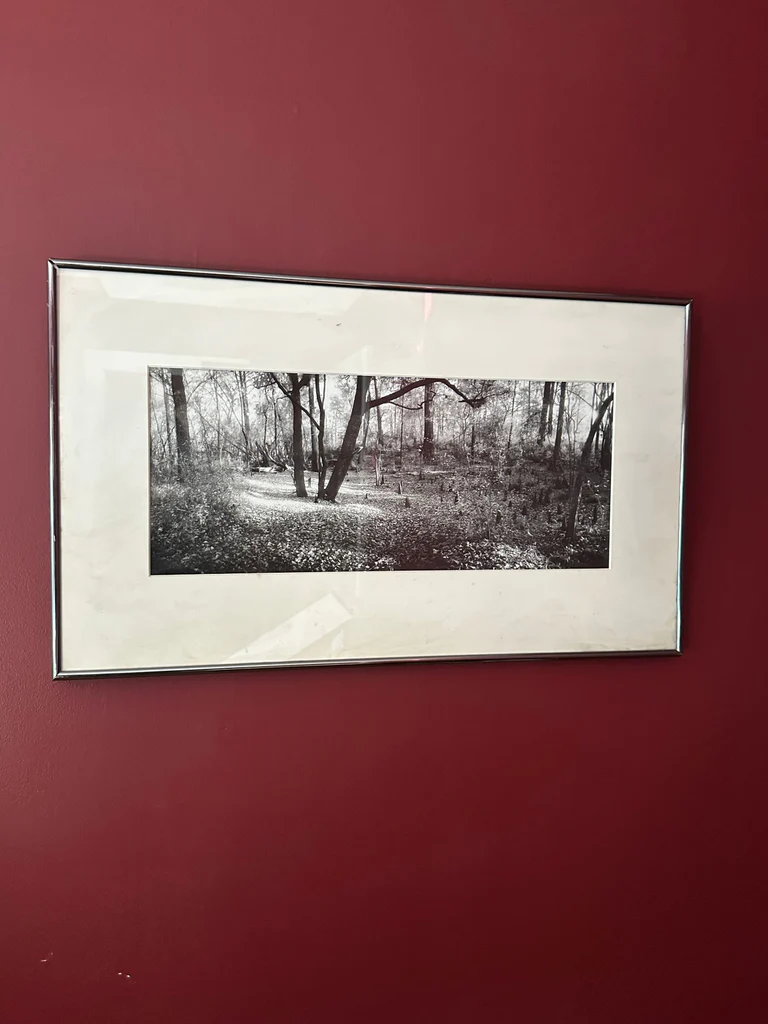 Framed panoramic black and white landscape print - image 1 of 2