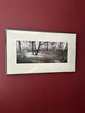 Framed panoramic black and white landscape print - thumbnail 1 of 2