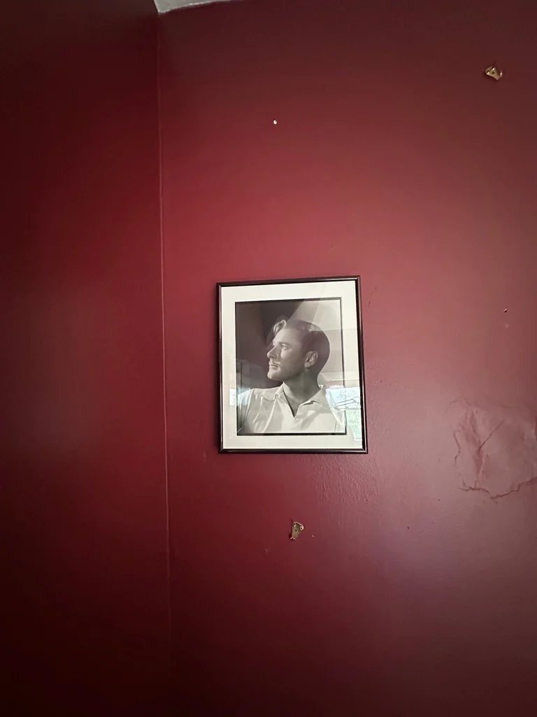 Framed photograph of Errol Flynn - image 2 of 2