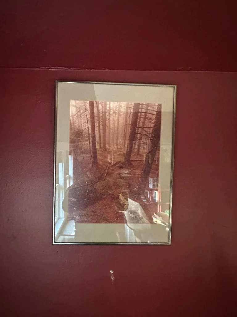 Framed Forest Landscape Print - image 1 of 2