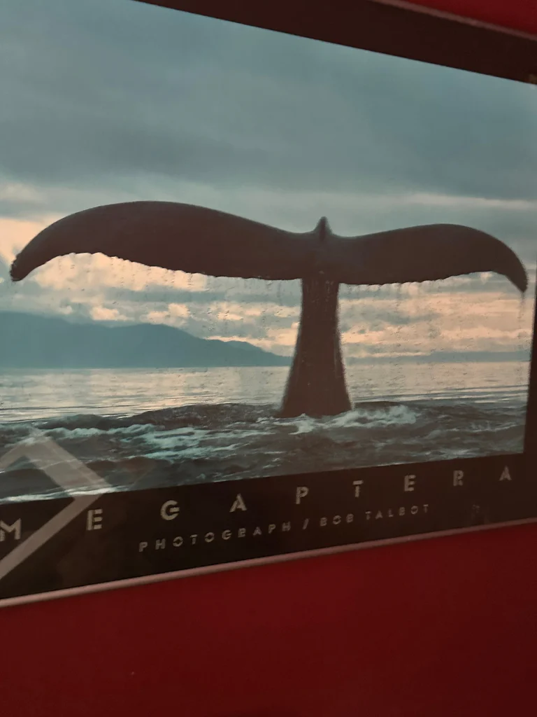 Framed Whale Tail Photograph Print - image 2 of 2