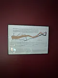 Charles Joseph Minard's 1879 map/infographic depicting Napolean's retreat - thumbnail 1 of 3