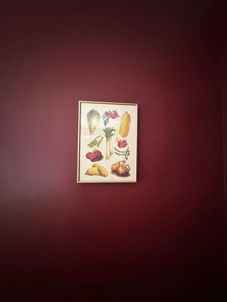 Reproduction print of Album Vilorm - french vegetables - image 1 of 2