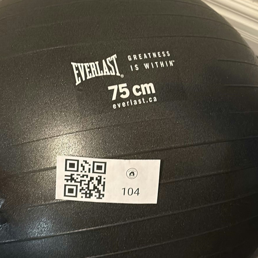 Everlast Exercise Ball and Fitness Accessories Set - image 2 of 10