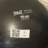 Everlast Exercise Ball and Fitness Accessories Set - thumbnail 2 of 10