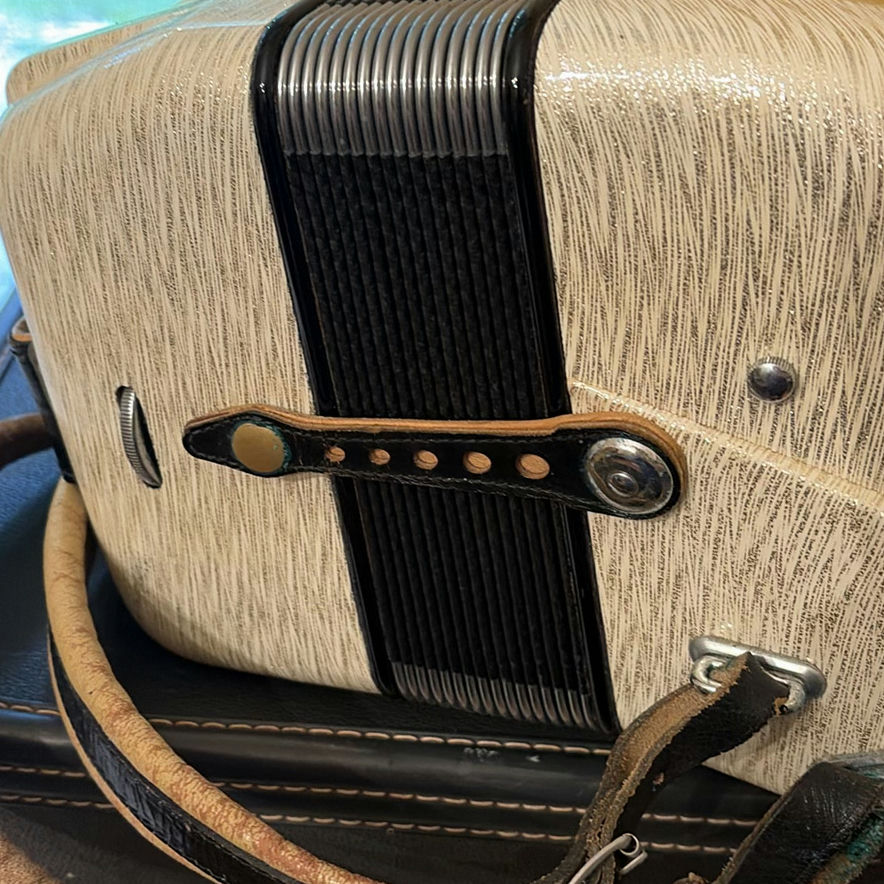 Piano Accordion with Carrying Case - image 3 of 18