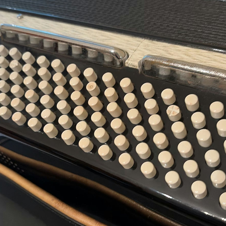 Piano Accordion with Carrying Case - image 6 of 18